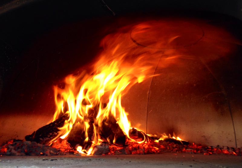 wood fired oven fire